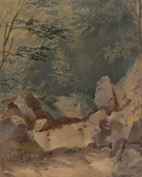 Paesaggio forestale con rocce